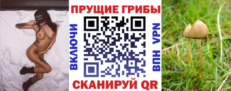 Псилоцибиновые грибы прущие грибы  продажа наркотиков  Нефтеюганск 